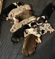 processed/170b406f-e136-470f-87f8-7ed39f917cf6/facility/9de31693-15db-4ccf-a783-5f48ba08296c