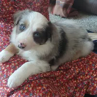 processed/170eafc7-c620-4784-8b36-b607afe3106d/facility/07f053e7-75fd-47f9-af63-a98dd24a0aa3