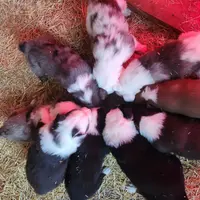 processed/170eafc7-c620-4784-8b36-b607afe3106d/facility/11f97ee5-7f07-44ec-b2a9-4168d2019036