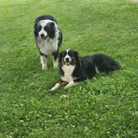 processed/170eafc7-c620-4784-8b36-b607afe3106d/facility/9b503a3f-b504-4d1e-905c-3492314d5014