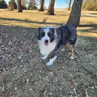 processed/170eafc7-c620-4784-8b36-b607afe3106d/facility/b5d7c08f-1b0a-4c31-bdb5-8a7b5f2a61ac