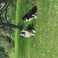 processed/170eafc7-c620-4784-8b36-b607afe3106d/facility/c94f661d-4af1-4aef-b54f-2885000319af