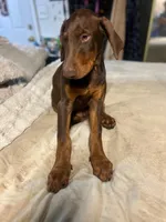 processed/170fe838-6660-4c0b-8989-5fcc599b0b80/listing/721db4ad-65c3-4bf7-89fc-f6636023de97/0ca43127-a23a-4ace-9867-320158198854