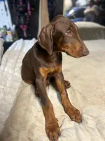 processed/170fe838-6660-4c0b-8989-5fcc599b0b80/listing/721db4ad-65c3-4bf7-89fc-f6636023de97/155ceac5-1d67-4ce1-bb44-7051bdb2e662