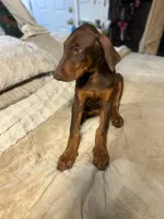 processed/170fe838-6660-4c0b-8989-5fcc599b0b80/listing/721db4ad-65c3-4bf7-89fc-f6636023de97/440c54f1-9eb9-4a83-869b-e8c1e06baa0b