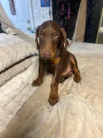 processed/170fe838-6660-4c0b-8989-5fcc599b0b80/listing/721db4ad-65c3-4bf7-89fc-f6636023de97/d00543e3-f4b2-4070-8cac-8f9038a94c9b