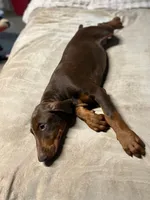 processed/170fe838-6660-4c0b-8989-5fcc599b0b80/listing/721db4ad-65c3-4bf7-89fc-f6636023de97/f301f08d-7686-4352-9f65-ed0089f09478