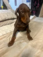 processed/170fe838-6660-4c0b-8989-5fcc599b0b80/listing/961a4677-d0fc-4bcd-b6d5-42721d26dff8/1cd4e8c7-b886-4221-8da4-7d5406ba9483