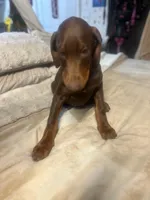 processed/170fe838-6660-4c0b-8989-5fcc599b0b80/listing/961a4677-d0fc-4bcd-b6d5-42721d26dff8/41df2008-286c-4b6c-805d-4374ce92e128