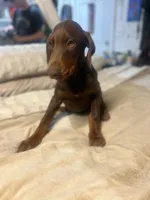 processed/170fe838-6660-4c0b-8989-5fcc599b0b80/listing/961a4677-d0fc-4bcd-b6d5-42721d26dff8/7cf0c00e-72fe-4de7-aa82-45e370d59921