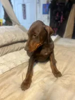 processed/170fe838-6660-4c0b-8989-5fcc599b0b80/listing/961a4677-d0fc-4bcd-b6d5-42721d26dff8/d2ad4c13-61be-4048-aaab-0aea3acecec2