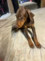 processed/170fe838-6660-4c0b-8989-5fcc599b0b80/listing/f2a1185c-0589-4bc4-ac50-0c4d5f0d5bc3/259a34d9-96da-4d50-a93a-10f5449309ab