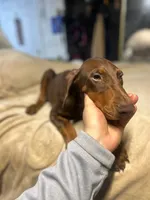 processed/170fe838-6660-4c0b-8989-5fcc599b0b80/listing/f2a1185c-0589-4bc4-ac50-0c4d5f0d5bc3/2f110e02-2442-43f3-adf7-2f654f03848f