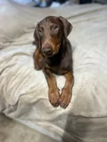 processed/170fe838-6660-4c0b-8989-5fcc599b0b80/listing/f2a1185c-0589-4bc4-ac50-0c4d5f0d5bc3/80acaca5-f8a2-4b63-baf8-c158ad4e4e39