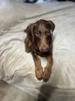 processed/170fe838-6660-4c0b-8989-5fcc599b0b80/listing/f2a1185c-0589-4bc4-ac50-0c4d5f0d5bc3/e513afb6-5894-4f7f-93a7-7acc1cbe88b7