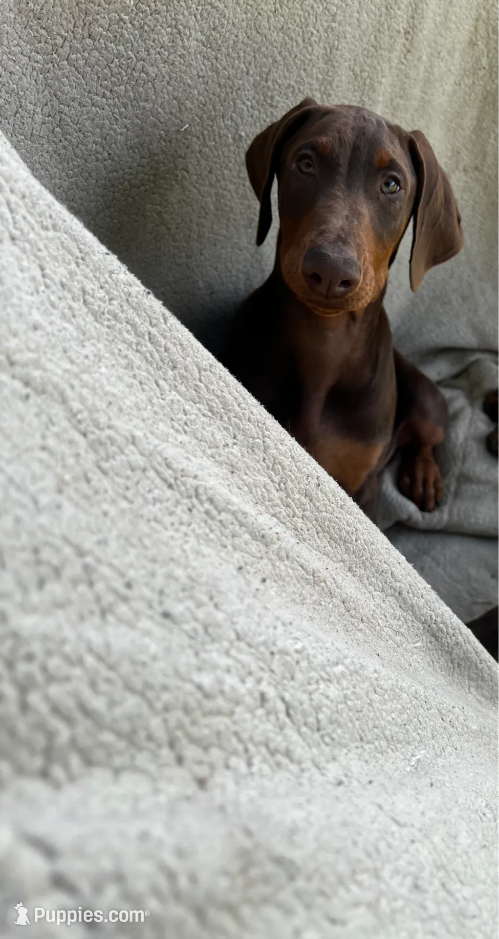 processed/170fe838-6660-4c0b-8989-5fcc599b0b80/listing/f2a1185c-0589-4bc4-ac50-0c4d5f0d5bc3/f0165bbc-a8e6-4573-b310-5581324c1801