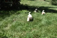 processed/1714bc61-14dc-4a58-b8a9-c3aa1f070ebc/facility/341ce0c0-1acc-48d7-a069-279c2e8901ba