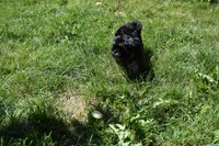 processed/1714bc61-14dc-4a58-b8a9-c3aa1f070ebc/facility/39368e08-823b-44e9-b19a-6c54fef996f8