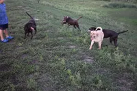 processed/1714bc61-14dc-4a58-b8a9-c3aa1f070ebc/facility/3979b465-0a71-49ed-b42a-a018253757f4