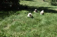 processed/1714bc61-14dc-4a58-b8a9-c3aa1f070ebc/facility/5f12f7fa-5681-4e76-a37d-7db88e476bb0