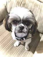 processed/1714bc61-14dc-4a58-b8a9-c3aa1f070ebc/listing/ab79e2f1-b36c-47b1-8f70-89e4f4927d0f/7088f736-dd8b-4516-b265-6dcb7199a648