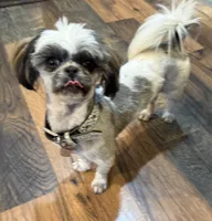 processed/1714bc61-14dc-4a58-b8a9-c3aa1f070ebc/listing/ab79e2f1-b36c-47b1-8f70-89e4f4927d0f/8430093b-b2d9-4e0c-93cd-20f23f78d0ac