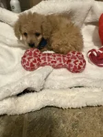 processed/17171105-a17a-43a8-a9b2-2275ed3406c8/listing/06f74793-f363-45fa-8533-a28d3ed5be0d/2db26cb5-8a1f-4bc2-987e-0a05aec2a61e