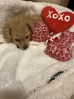 processed/17171105-a17a-43a8-a9b2-2275ed3406c8/listing/06f74793-f363-45fa-8533-a28d3ed5be0d/55655236-dbed-44a5-b369-0948aa2d95d7