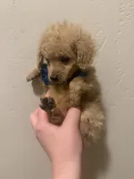 processed/17171105-a17a-43a8-a9b2-2275ed3406c8/listing/06f74793-f363-45fa-8533-a28d3ed5be0d/65379510-47a1-46ea-a182-2a90b9547234