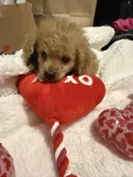 processed/17171105-a17a-43a8-a9b2-2275ed3406c8/listing/06f74793-f363-45fa-8533-a28d3ed5be0d/ab21a42b-89b8-4e70-9b1e-032e788ab9e3