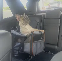 Max AKC, a male French Bulldog for sale in Grand Junction, CO – Photo 2 of 2