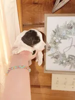 processed/17224332-dc98-4055-8322-1821f8c2c73b/listing/3fdf6637-f3b7-4ef9-805c-28a60f466a2b/3c76b181-e868-4e94-9a7a-4bb482d666e8