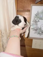 processed/17224332-dc98-4055-8322-1821f8c2c73b/listing/3fdf6637-f3b7-4ef9-805c-28a60f466a2b/80b2248a-1853-4a37-a861-9ba6e95a33c4