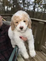 processed/17224332-dc98-4055-8322-1821f8c2c73b/listing/43c9212a-1962-47d7-9cff-c4d6839e62d9/7ecea3f0-c3bb-41c0-bf01-f08bee171502