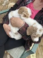 processed/17224332-dc98-4055-8322-1821f8c2c73b/listing/43c9212a-1962-47d7-9cff-c4d6839e62d9/86d5c094-8c2b-457c-bda9-855dcdbe3609