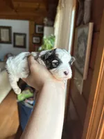 processed/17224332-dc98-4055-8322-1821f8c2c73b/listing/453b75a1-e351-4e5d-bf30-46bfeecfcf4e/4a156f67-45f7-4d00-9e0c-b42288a348e2