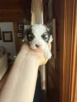 processed/17224332-dc98-4055-8322-1821f8c2c73b/listing/453b75a1-e351-4e5d-bf30-46bfeecfcf4e/6a71f36e-4e05-4a33-98e8-25b528749114