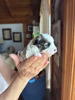 processed/17224332-dc98-4055-8322-1821f8c2c73b/listing/453b75a1-e351-4e5d-bf30-46bfeecfcf4e/a24c286e-e67b-4397-8c69-6647f0a401bc