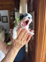 processed/17224332-dc98-4055-8322-1821f8c2c73b/listing/453b75a1-e351-4e5d-bf30-46bfeecfcf4e/da33b154-5b45-4d0d-a332-88b677811444