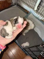 processed/17224332-dc98-4055-8322-1821f8c2c73b/listing/524c2052-f910-4257-b929-6653ecb93931/203f8909-f36c-46ce-bcd7-59a8aa0ef5e4