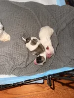 processed/17224332-dc98-4055-8322-1821f8c2c73b/listing/524c2052-f910-4257-b929-6653ecb93931/aab5bcda-ad3c-4962-9a18-8c760bf75dc8