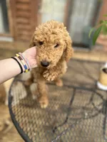 processed/17224332-dc98-4055-8322-1821f8c2c73b/listing/8eea3c76-aea8-487d-b3c6-d367c4efaf75/81c4d993-0c44-48cf-ad94-e677da17a660