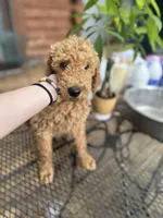 processed/17224332-dc98-4055-8322-1821f8c2c73b/listing/8eea3c76-aea8-487d-b3c6-d367c4efaf75/dcfe8caf-5e70-4e14-8577-179c4acbb165