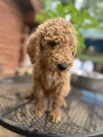 processed/17224332-dc98-4055-8322-1821f8c2c73b/listing/8eea3c76-aea8-487d-b3c6-d367c4efaf75/e0f23dd6-aea4-46aa-af52-fad6c0bde47c