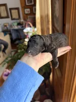 processed/17224332-dc98-4055-8322-1821f8c2c73b/listing/94aa87b5-05db-4cc0-b589-8c3a709e712e/9afb6761-a137-4716-a07d-d8786600030d