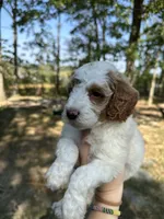 processed/17224332-dc98-4055-8322-1821f8c2c73b/listing/9edc323b-a8b4-4ced-a345-567e0792d25c/6b488fb9-b9b1-422b-a6e2-f2990c26f6f1