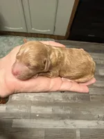 processed/17224332-dc98-4055-8322-1821f8c2c73b/listing/b3bbe7f6-f674-41cf-a2af-d8362df4b320/71f8b684-b879-40b2-8d59-e0b3d1270910