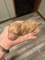 processed/17224332-dc98-4055-8322-1821f8c2c73b/listing/b3bbe7f6-f674-41cf-a2af-d8362df4b320/a4393e73-1eea-4191-aab0-834adc61a678