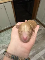 processed/17224332-dc98-4055-8322-1821f8c2c73b/listing/b3bbe7f6-f674-41cf-a2af-d8362df4b320/cf7081ee-a401-4447-a963-c9d8ac44e520