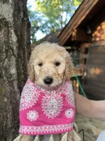 processed/17224332-dc98-4055-8322-1821f8c2c73b/listing/cdd3ef82-dc57-48bf-9a40-6b4fcd48b23f/26c55dbc-16f4-4caa-beb9-76c7bee6d237